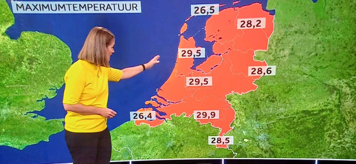 Yvo Kok-Palma 🌱 tweet media