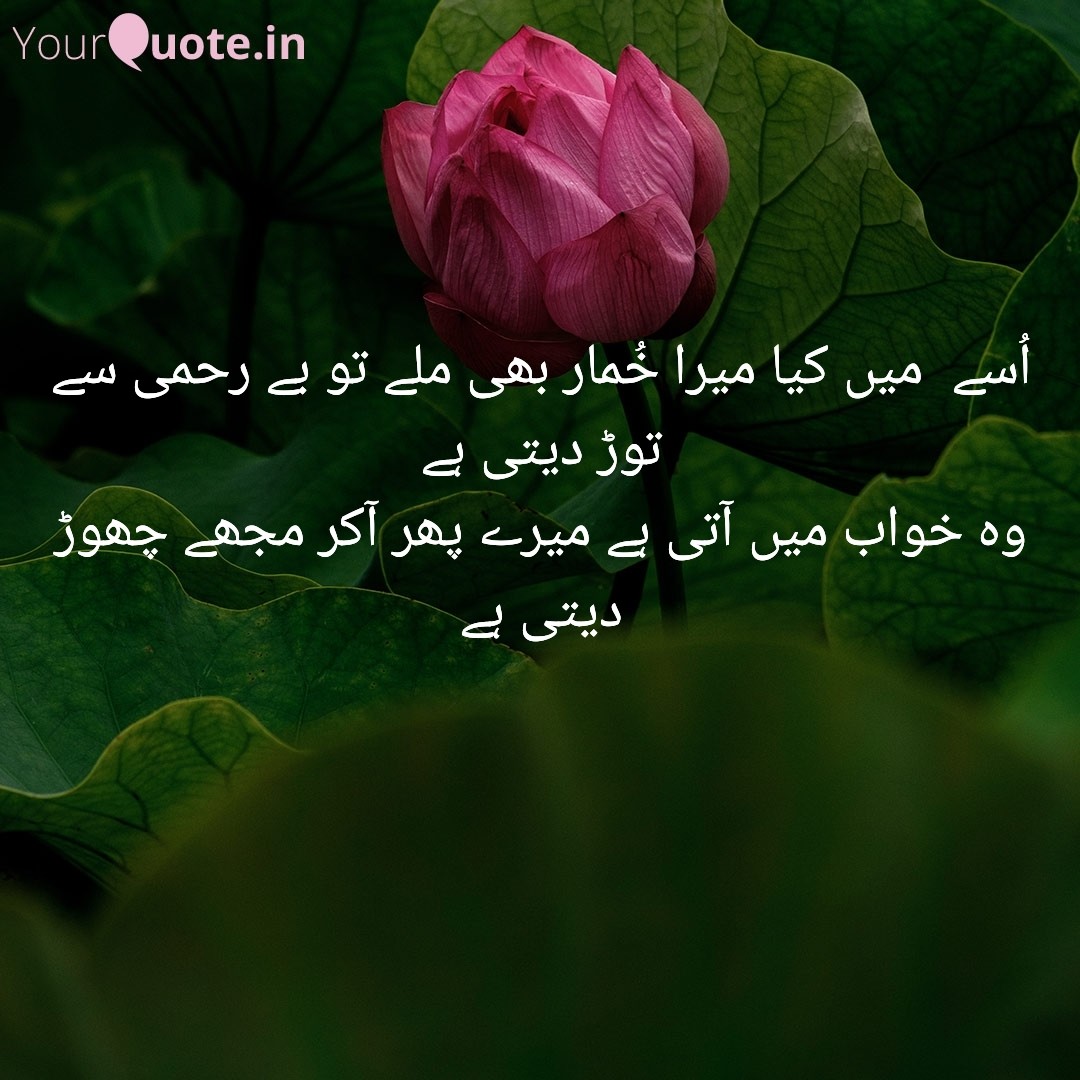 Aasif Salam (@aasif_salaam) on Twitter photo 