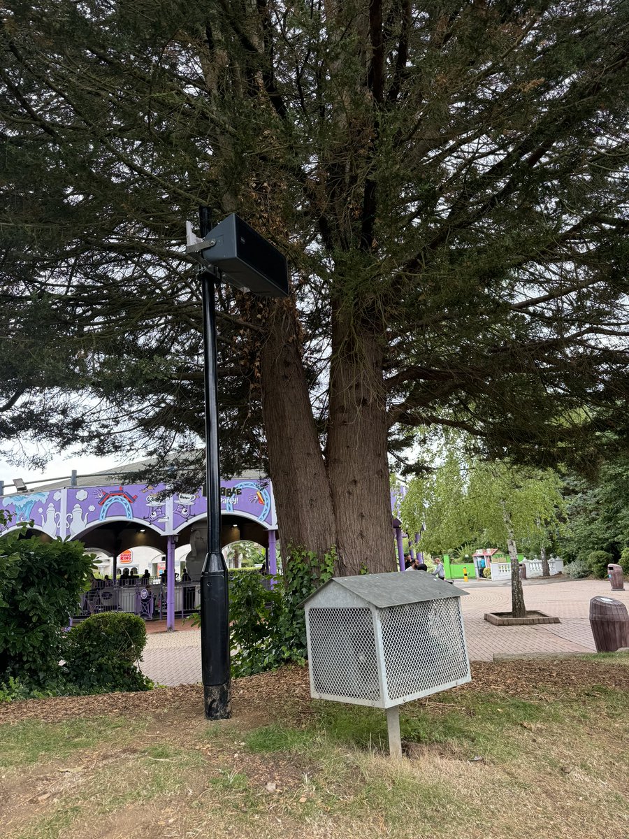 Thorpe Park Mania tweet media