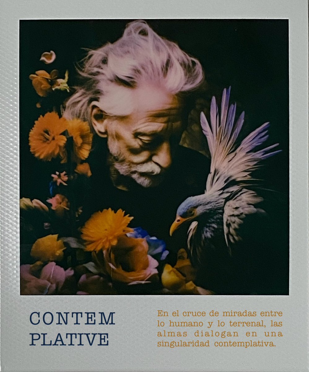 javierferrando's tweet photo. En el cruce de miradas entre lo humano y lo terrenal, las almas dialogan en una singularidad contemplativa. #polaroid @javierferrando https://t.co/lBP2Jodo9X