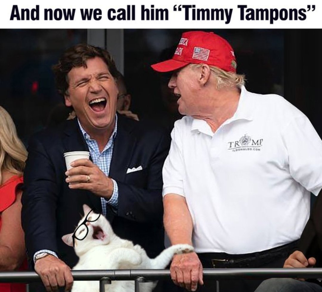 Conservative Voice tweet media