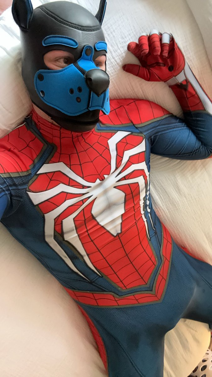 Pup Spidey tweet media