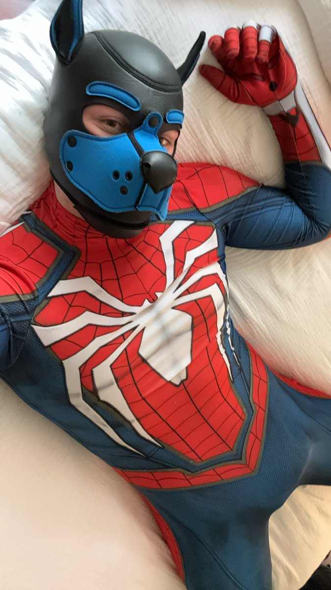 Pup Spidey tweet media