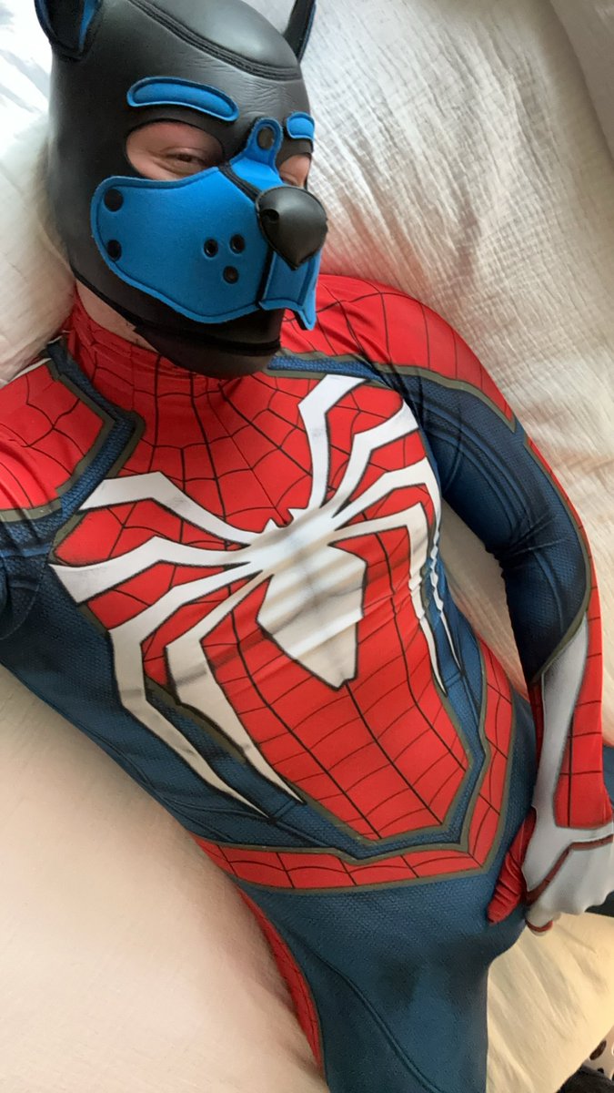 Pup Spidey tweet media