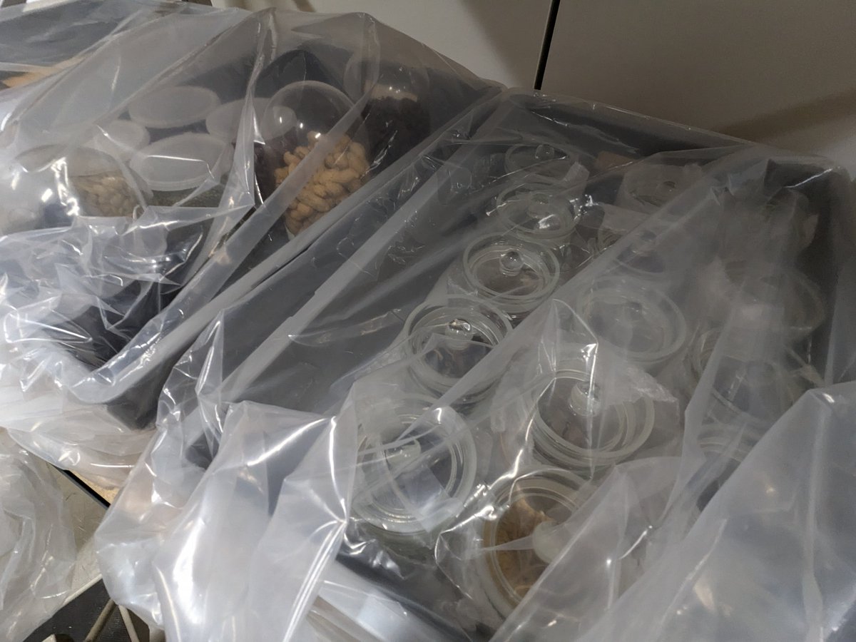 NatHistConservation tweet media