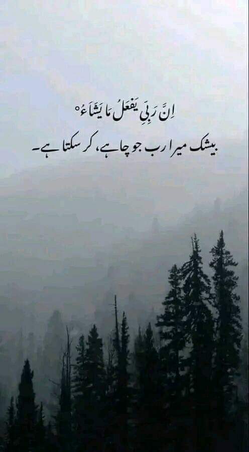 Abdul Hafeez Golo (@hafeezgolo) on Twitter photo 