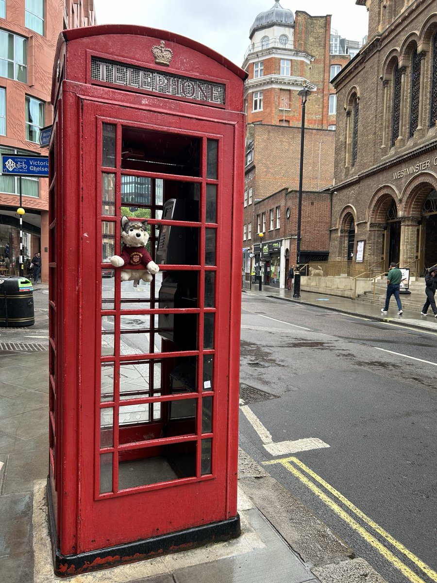 OpenLibraryFdn's tweet image. Spare some change? Wolfie wants to call and tell everyone about #WOLFcon24 in London.
You can register here. ow.ly/W2WI50SFwqE