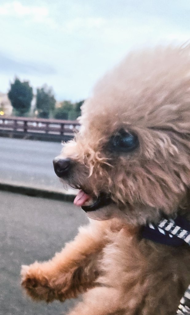 謎の生物になってみる