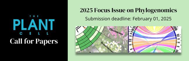 Image text: Call for Papers. 2025 Focus Issue on Phylogenomics. Submission deadline: February 01, 2025. Featuring The Plant Cell logo and scientific art.