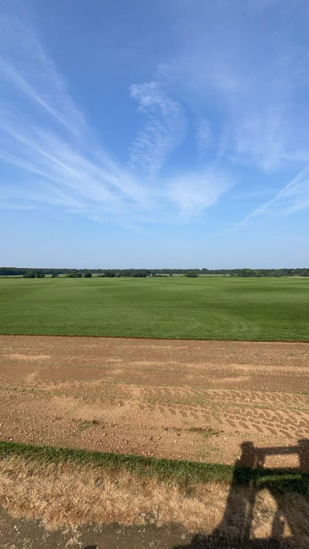 DeLeaSodFarms's tweet photo. Turf Tuesday!! Straight from the field!! #turftuesday #sod #kentuckybluegrass #sodfarm #lawn #lawncare #lawnmaintenance https://t.co/mBFY3INN6x
