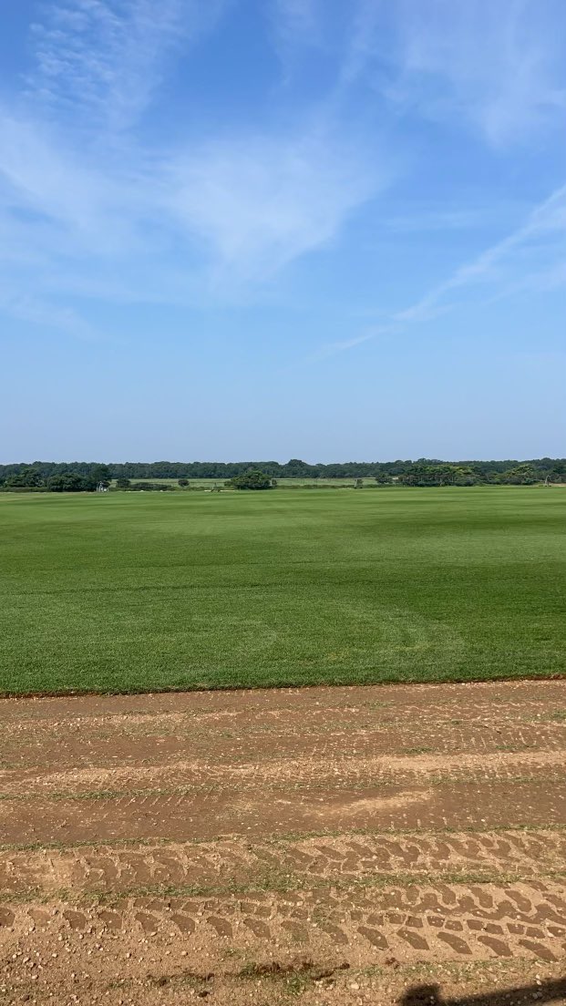 DeLeaSodFarms's tweet photo. Turf Tuesday!! Straight from the field!! #turftuesday #sod #kentuckybluegrass #sodfarm #lawn #lawncare #lawnmaintenance https://t.co/mBFY3INN6x