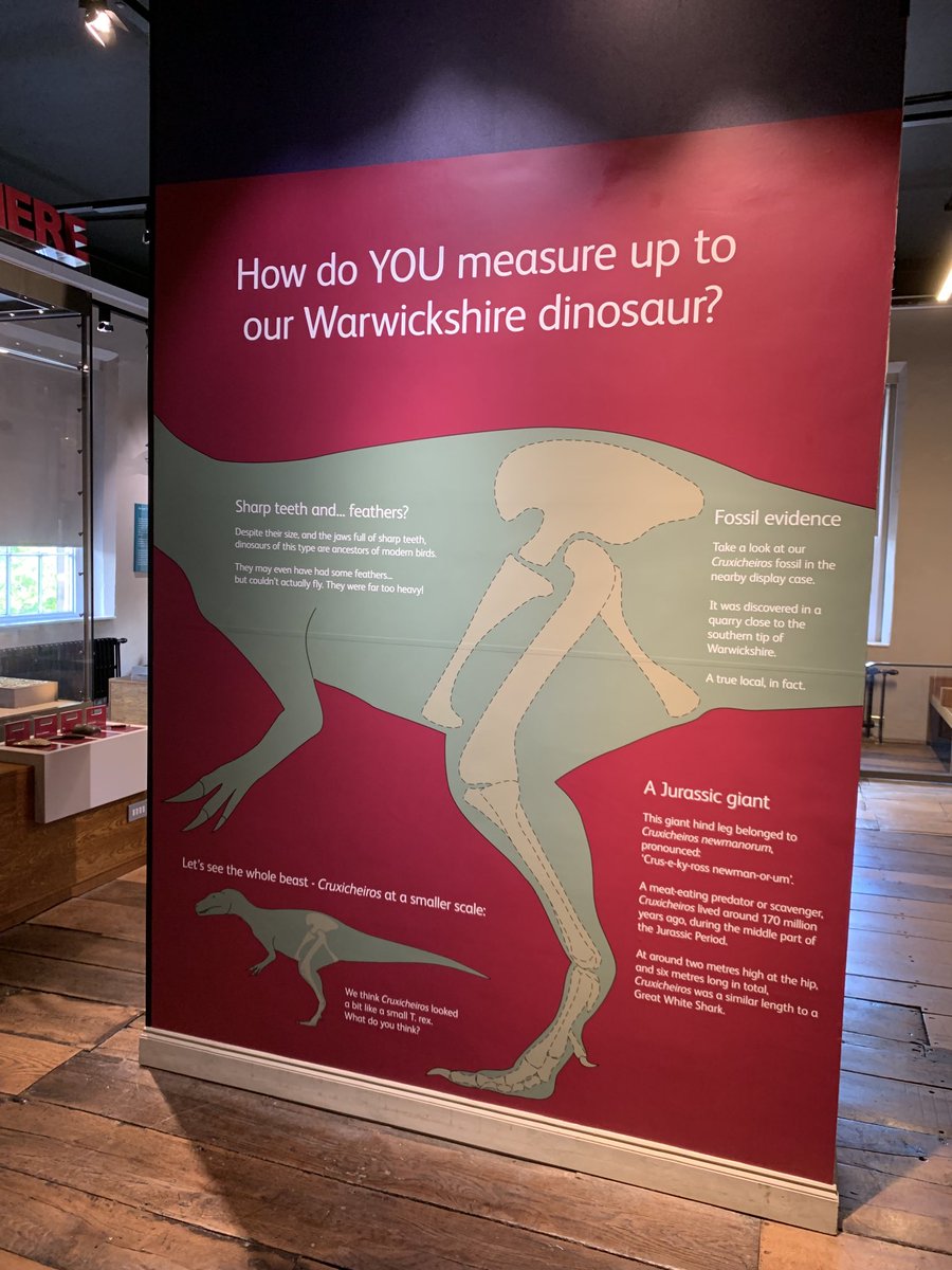 OisinTheDeer's tweet photo. A new addition, first floor of the Market Hall Museum. #dinosaurs https://t.co/xjujuXm5La
