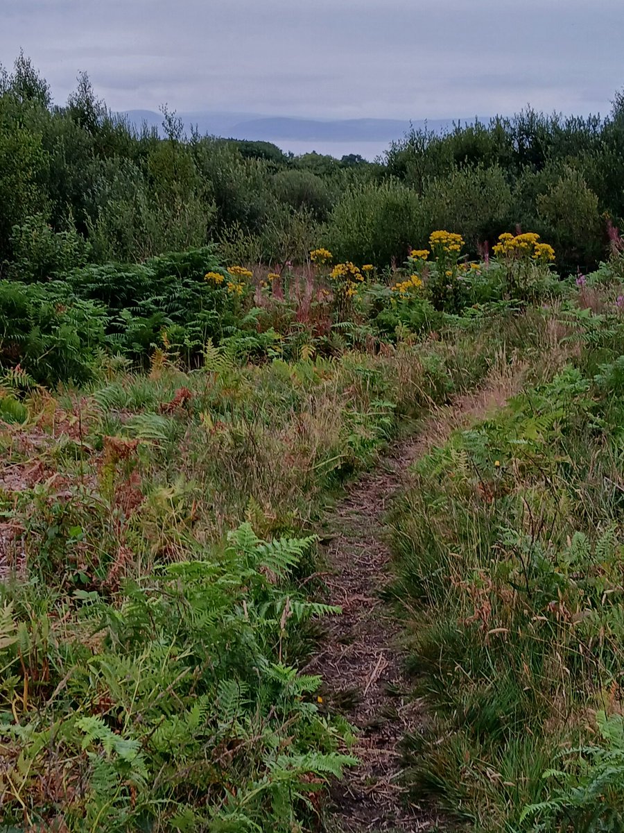 Kate Ashbrook tweet media