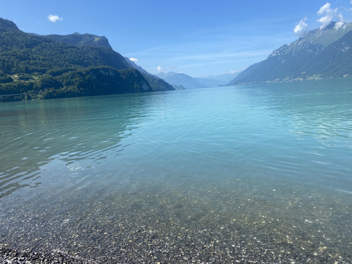 stiles1907's tweet photo. Buz gibi Alp Eteklerinden bir Göl…
#Brienzersee https://t.co/8hTSpZHJiR