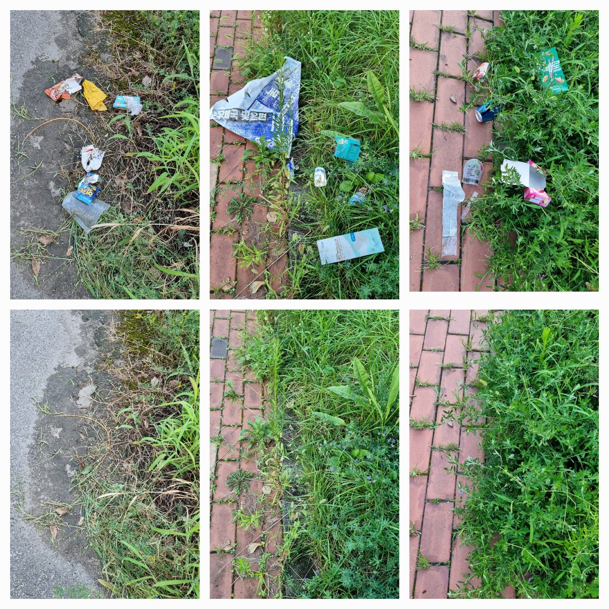 ingzzang's tweet photo. Picking up trash at sunset
#CleanUpChallenge @cleanify_vet https://t.co/anwSIxRaGV