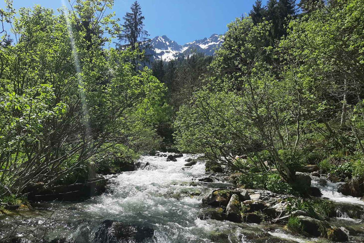 INRAE_Lyon_Gre's tweet photo. 🗻 Lundi prochain 12/08, prenez de la hauteur pour assister à la conférence de Juliette Rousset , doctorante au #LESSEM : " Génie végétal et cours d'eau de montagne"
📍 RDV à 17h à 2100 m d'altitude, face à la Meije, dans le magnifique @LautaretGarden (Villar-d'Arène) !
https://t.co/GEmOz0XmAo