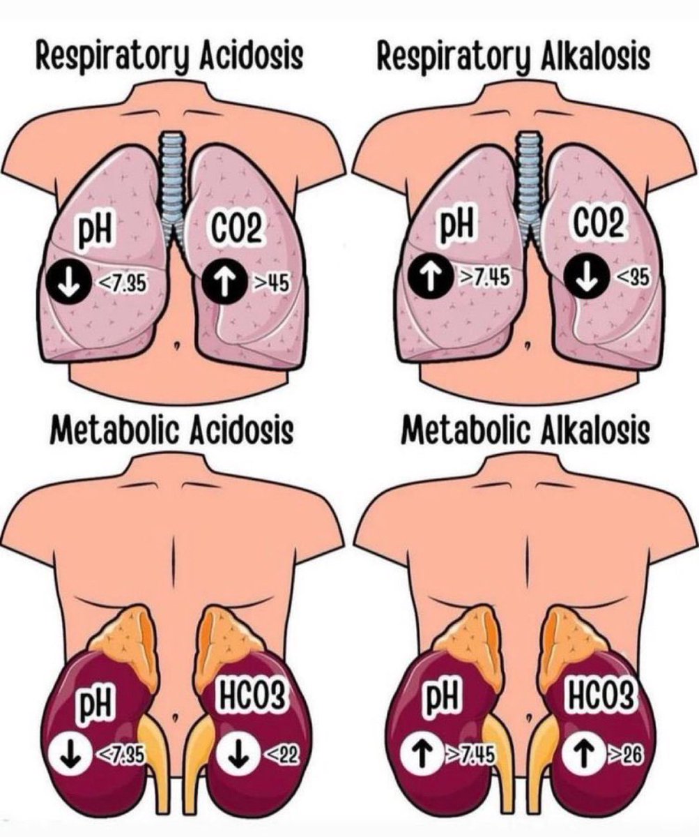 DrPharmDMDTh's tweet photo. https://t.co/aWr8PHhsSF