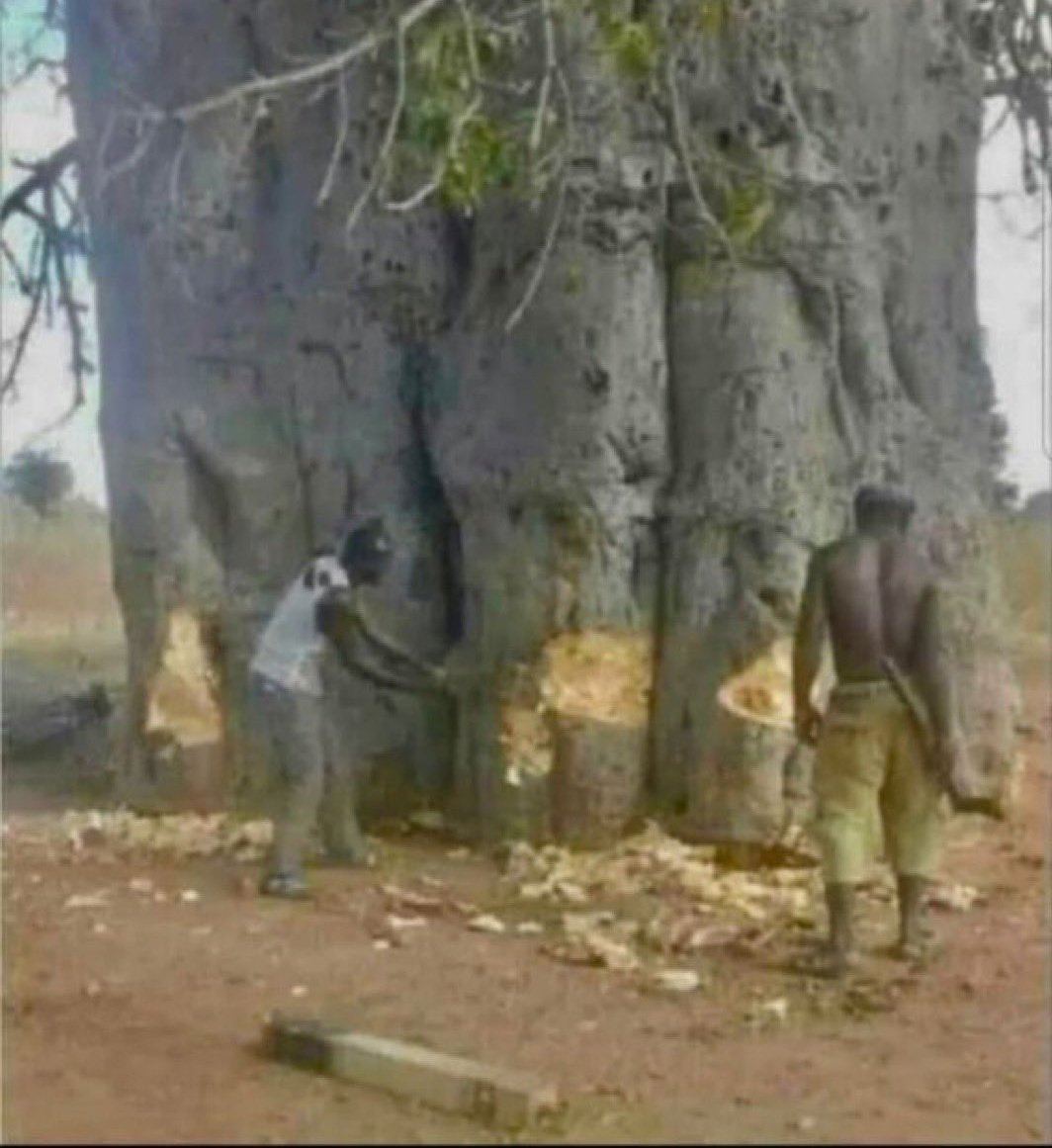 This is the far I have gone with this day😞😞😞