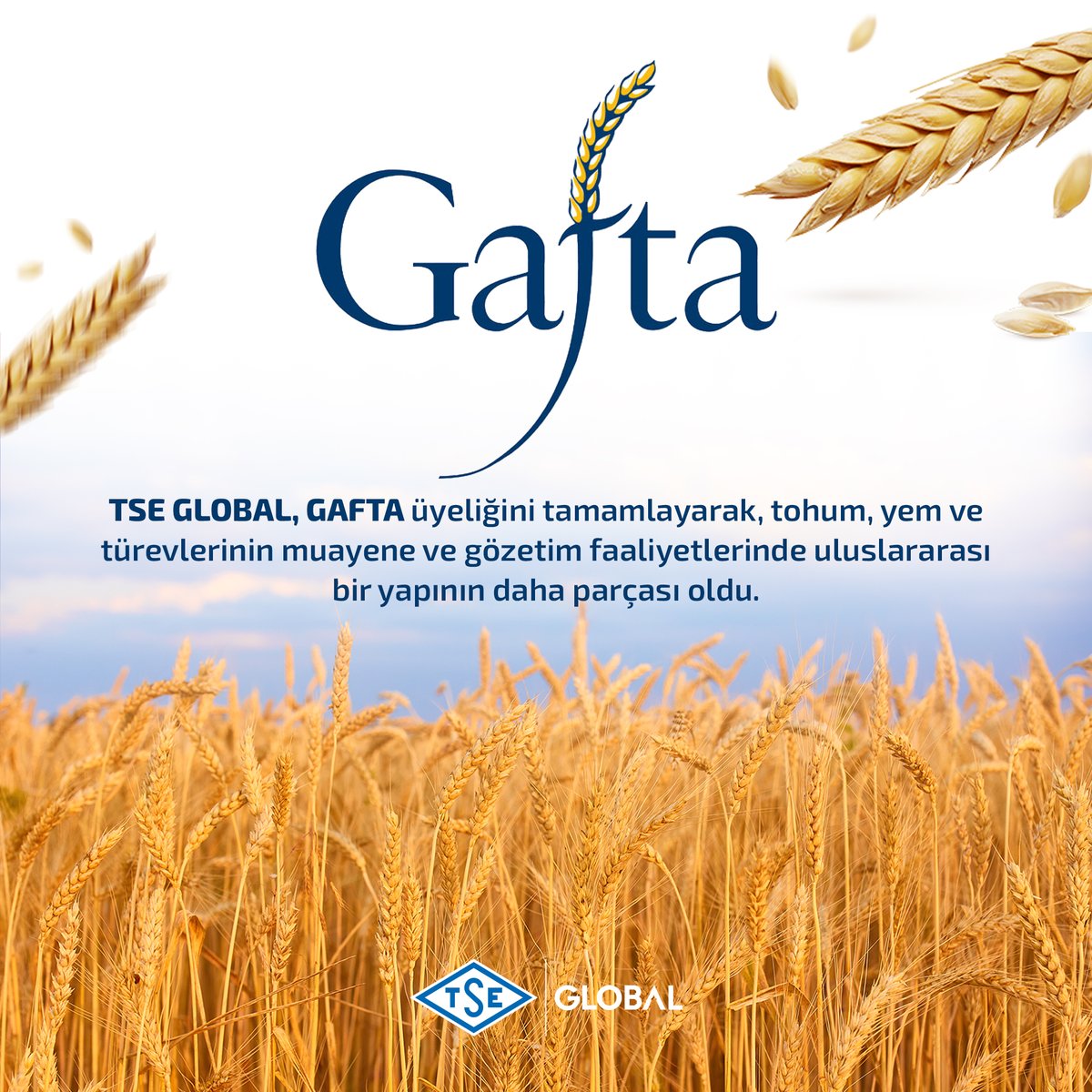tseglobalcomtr's tweet photo. 🌐 TSE Global, Gafta'ya üye oldu! 🎉

Küresel ticaret ağında daha etkin bir rol üstleniyor, müşterilere daha güvenilir, şeffaf ve yüksek standartlarda hizmet sunmayı hedefliyor. ✅

#TSEGlobal #Gafta #UluslararasıTicaret #GüvenilirTicaret https://t.co/ZBWCT6h0pB