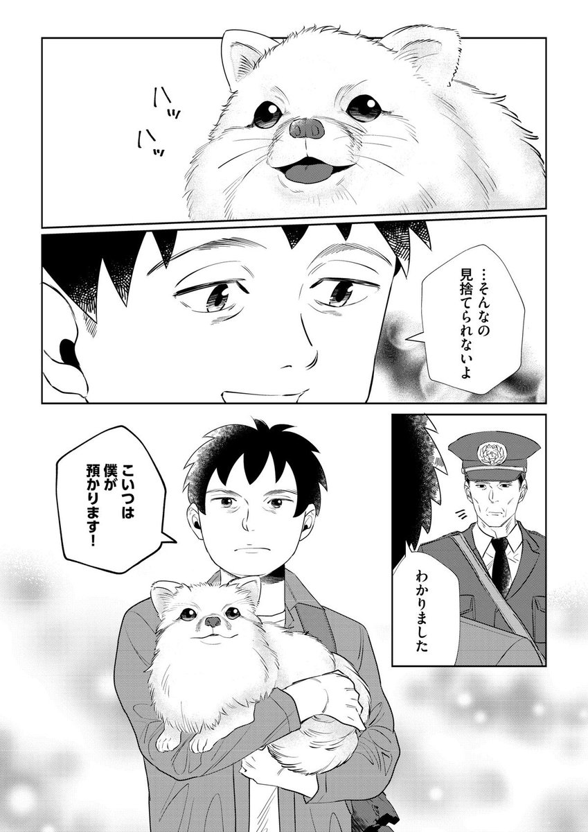 そういえば〜とふと思い出したので紹介。以前に作画を担当した作品です。プロットは別の先生だけど、ペットと暮らす話だから我が事のように演出考えた思い出😌後半は泣きながら描いてたなぁ😂 全5話で1話無料です!  虹色フィルム～ポンが繋いだ家族の絆～  #めちゃコミ 