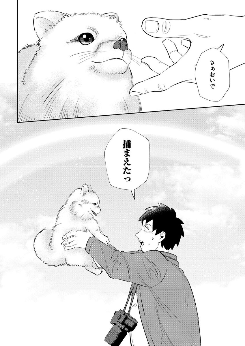 そういえば〜とふと思い出したので紹介。以前に作画を担当した作品です。プロットは別の先生だけど、ペットと暮らす話だから我が事のように演出考えた思い出😌後半は泣きながら描いてたなぁ😂 全5話で1話無料です!  虹色フィルム～ポンが繋いだ家族の絆～  #めちゃコミ 