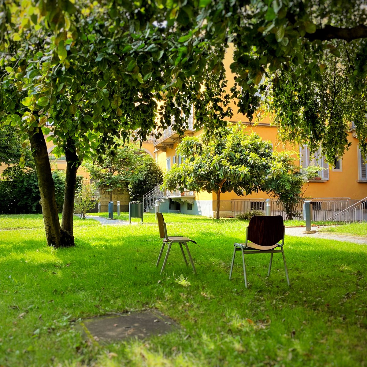 DemmUnimi's tweet image. Summer in a solitary place ... 🌅🌿🎶🌸

#demm #spes #lestatale #unimi