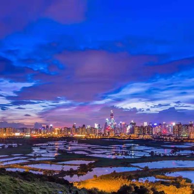 #NewProfilePic (新個人資料照片)