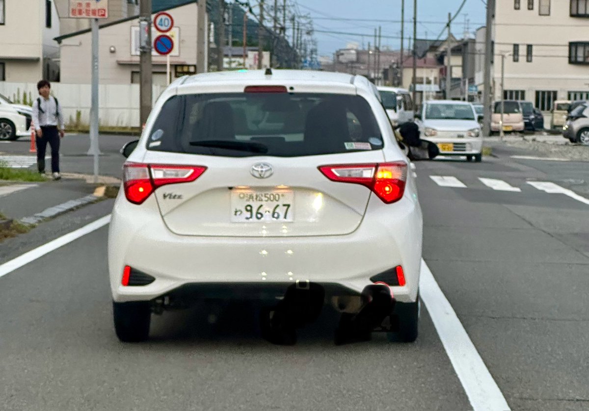運転席の窓からワンコが見えていたが、そもそもレンタカーってペット禁止じゃないの？