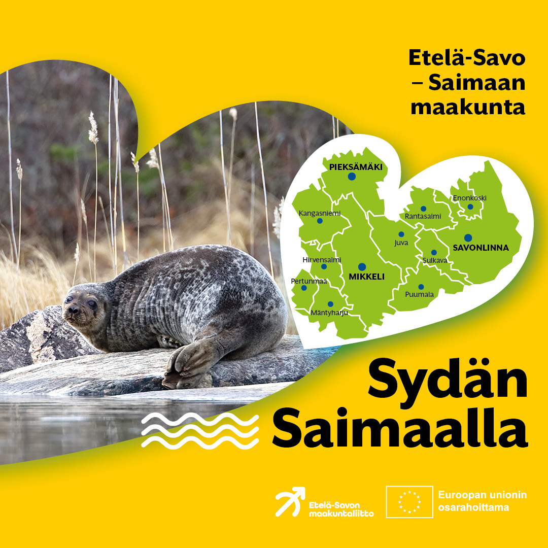Vielä ehdit vastata Etelä-Savon maine- ja tunnettuustutkimuksen kyselyyn!
Vastauksesi on meille arvokas ja auttaa maakunnan elinvoiman kehittämisessä 🌟 
Kyselyyn pääset tästä 👉 esavo.fi/tutkimus
#eteläsavo #tutkimus #eakr #rakennerahastot