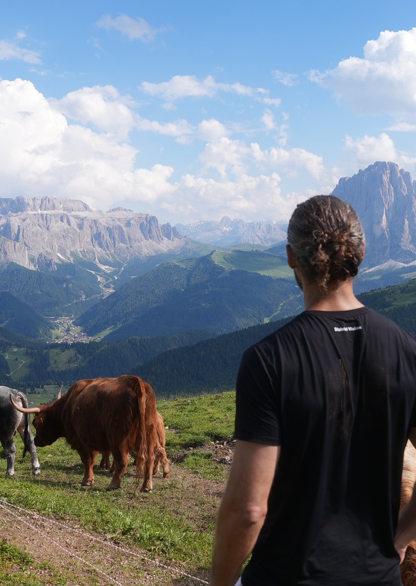 matt_gray_'s tweet image. Building a personal brand is like planting a tree. 

The best time to start was 10 years ago. 

The second best time is now.