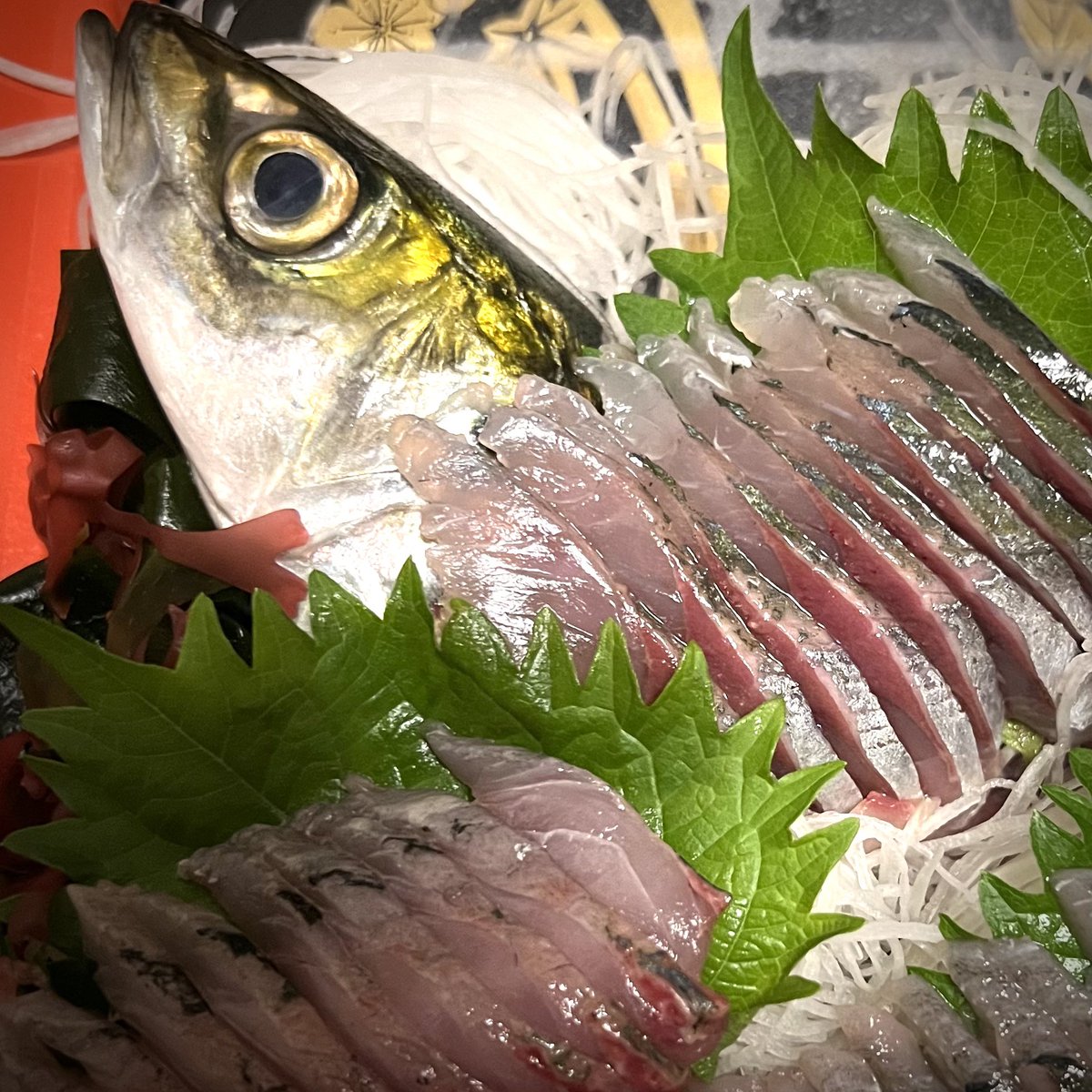 鮮魚と人は、見た目というか、目を見ればどの程度かわかるよね。買った鯵が美味しかったのでしみじみ思う。