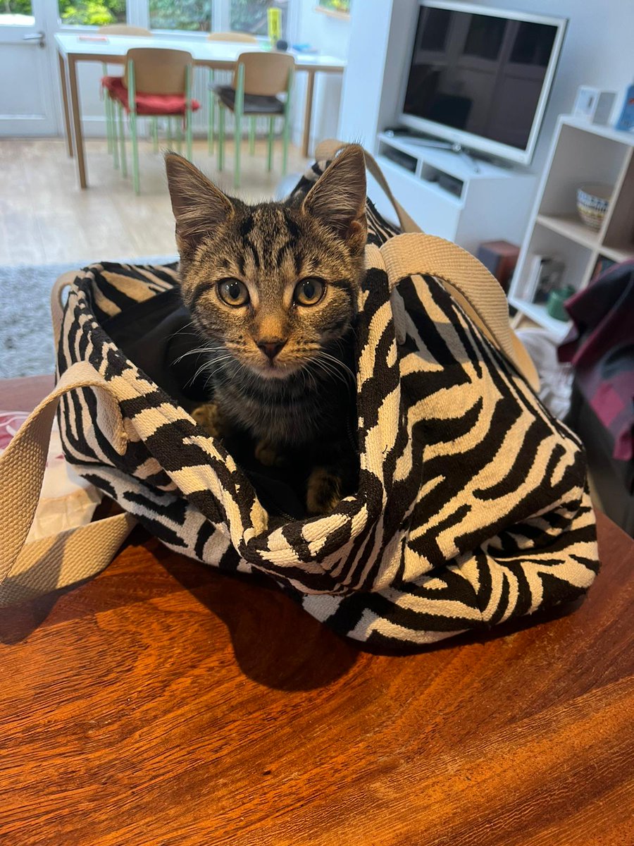 MichMcCrohan tweet media