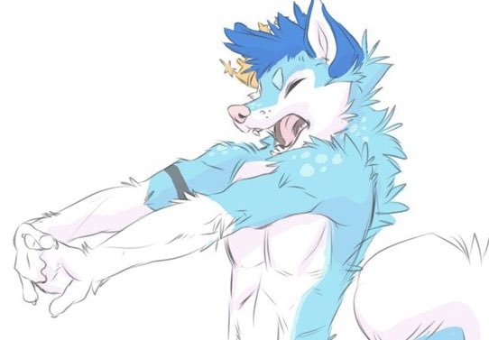 Fluke Husky 🤍 tweet media