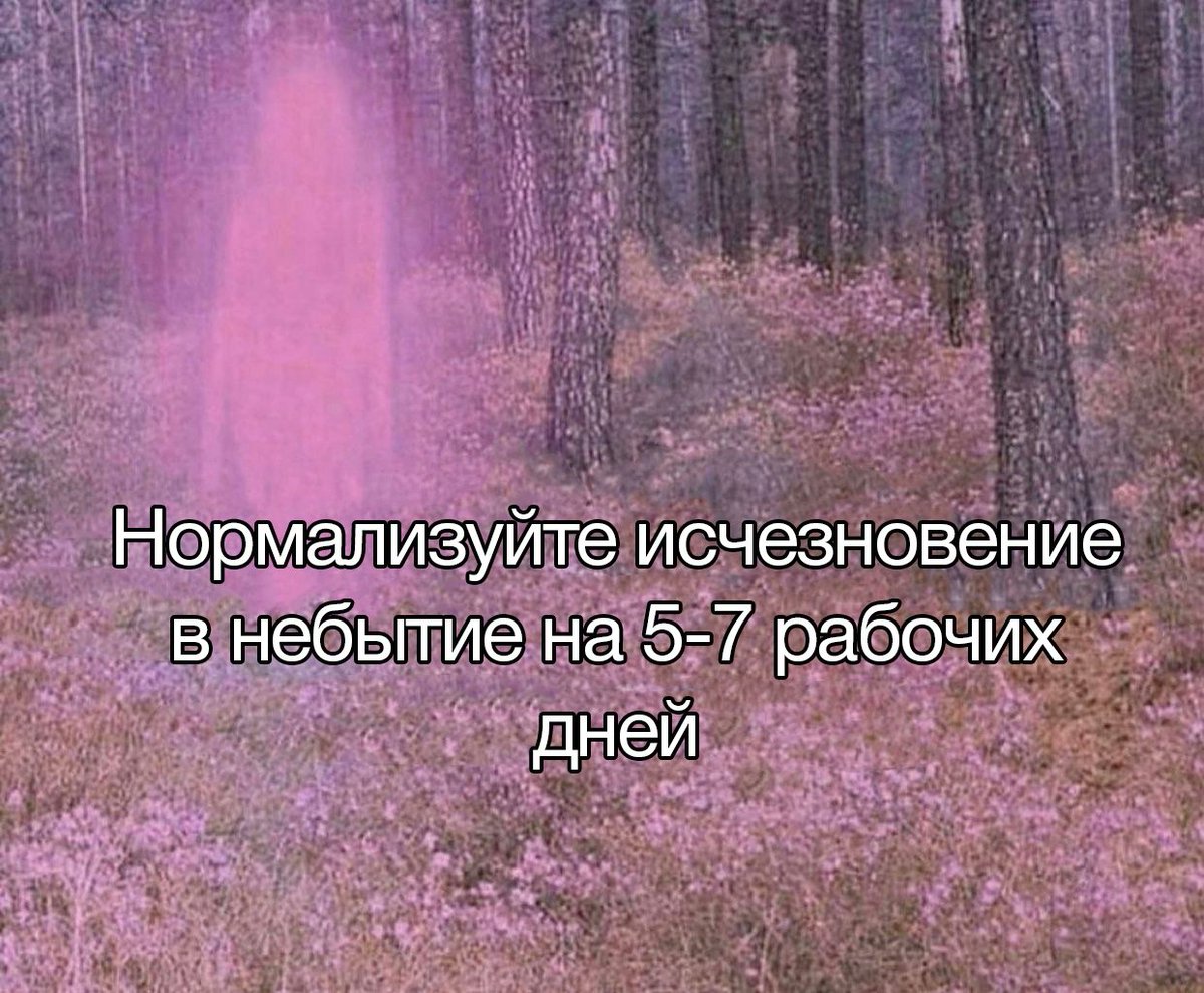 DantesDmitriy's tweet photo. https://t.co/VdqDOTsZMI