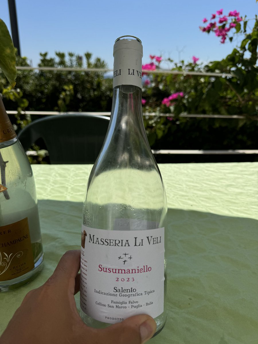 Dopo aver lungamente frequentato sud della Francia e Salento anche quest’anno il vincitore tra i rosé è questo