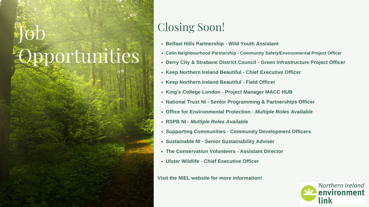 Job Alert! Multiple environmental roles available - for more info visit our website: bit.ly/3lGwOl1

<a href="/BelfastHills/">Belfast Hills</a> <a href="/CNPartnership/">Colin Neighbourhood</a> <a href="/dcsdcouncil/">Derry Strabane Cncl</a> <a href="/KeepNIBeautiful/">Keep NI Beautiful</a> <a href="/KingsCollegeLon/">King's College London</a> <a href="/NationalTrustNI/">National Trust NI</a> <a href="/OfficeforEP/">The Office for Environmental Protection</a> <a href="/RSPBNI/">RSPB NI</a> <a href="/SuppCommunities/">SuppCommunities</a> <a href="/SustainableNI/">Sustainable Northern Ireland</a> <a href="/TCV_NI/">The Conservation Volunteers NI</a> <a href="/UlsterWildlife/">Ulster Wildlife</a>