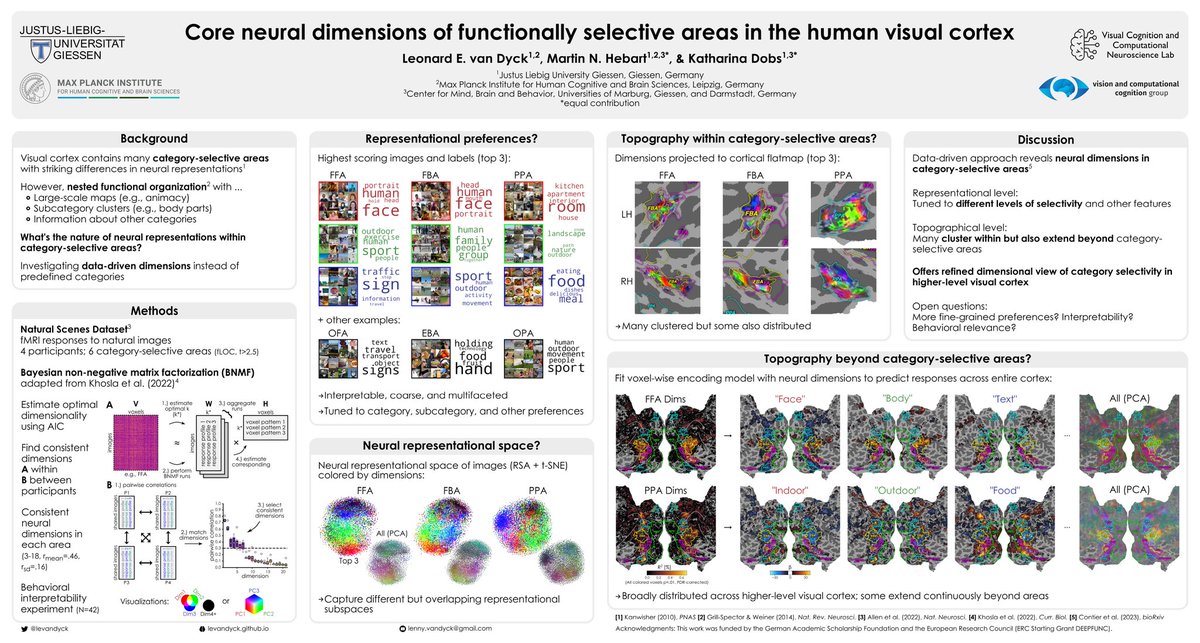 levandyck's tweet image. Excited to present findings from my first PhD project with @martin_hebart and @KathaDobs at #CCN2024
If you're into visual cortex, functional selectivity, and/or representational dimensions, make sure to stop by poster P154 today! 🧠🌈