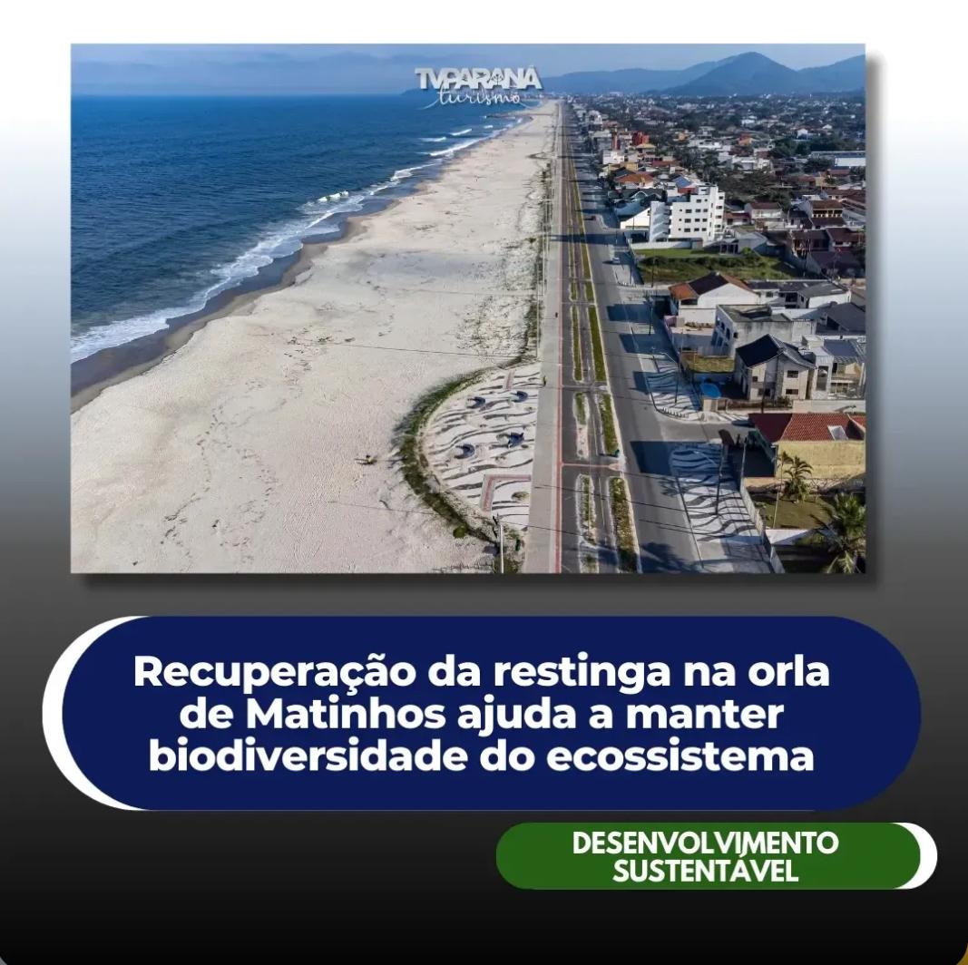 As obras de revitalização da orla de Matinhos, vão reconfigurar completamente o perfil da vegetação na cidade. A recuperação da restinga, que já recebeu 1,8 milhão de mudas nativas, beneficia a praia, contribuindo para a manutenção das dunas e ajudando a manter o equilíbrio.