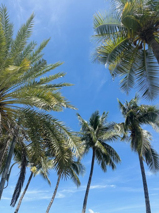 南国LOVEすぎる🏝️☀️🥥 https://t.co/k2ROWxl9Lk<a href="/tag/keirin%E3%82%B0%E3%83%A9%E3%83%B3%E3%83%97%E3%83%AA"class="tags"><span>#keirinグランプリ</span></a><a href="/tag/keirin%E3%82%B0%E3%83%A9%E3%83%B3%E3%83%97%E3%83%AA2023"class="tags"><span>#keirinグランプリ2023</span></a>