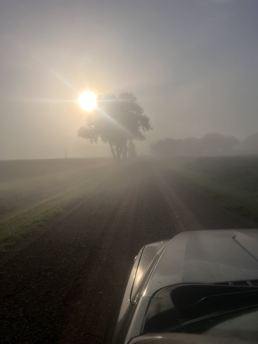Double edged sword with fog this time of year <a href="/wagner_farms/">Ryan Wagner</a>. Nice to know we’re going have some snow for deer season in 90 days, also not great if we’re still combining. #CompletelyTrueAndProven