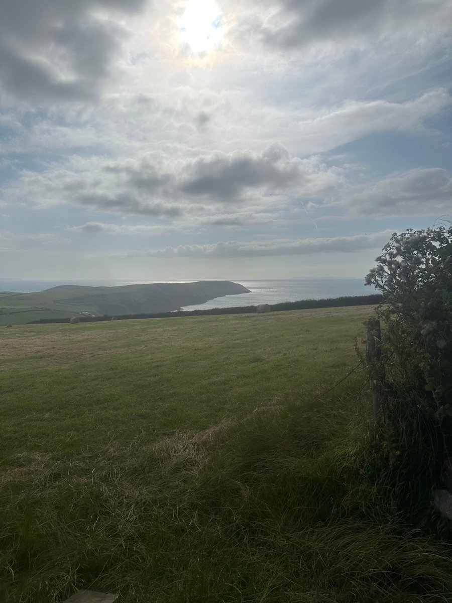 CampXL's tweet photo. fun walk and talk for our first evening https://t.co/pyR9QddvkG