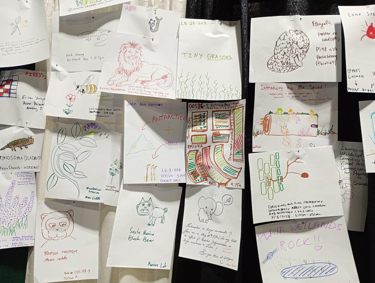 This week, we are exhibiting at the Ecological Societyof America's #ESA2024 event. If you are attending, visit the BES stand to find out about our grants, publications, and events. We are also offering speed reviews with journal editors at 11:45 am on Wednesday.