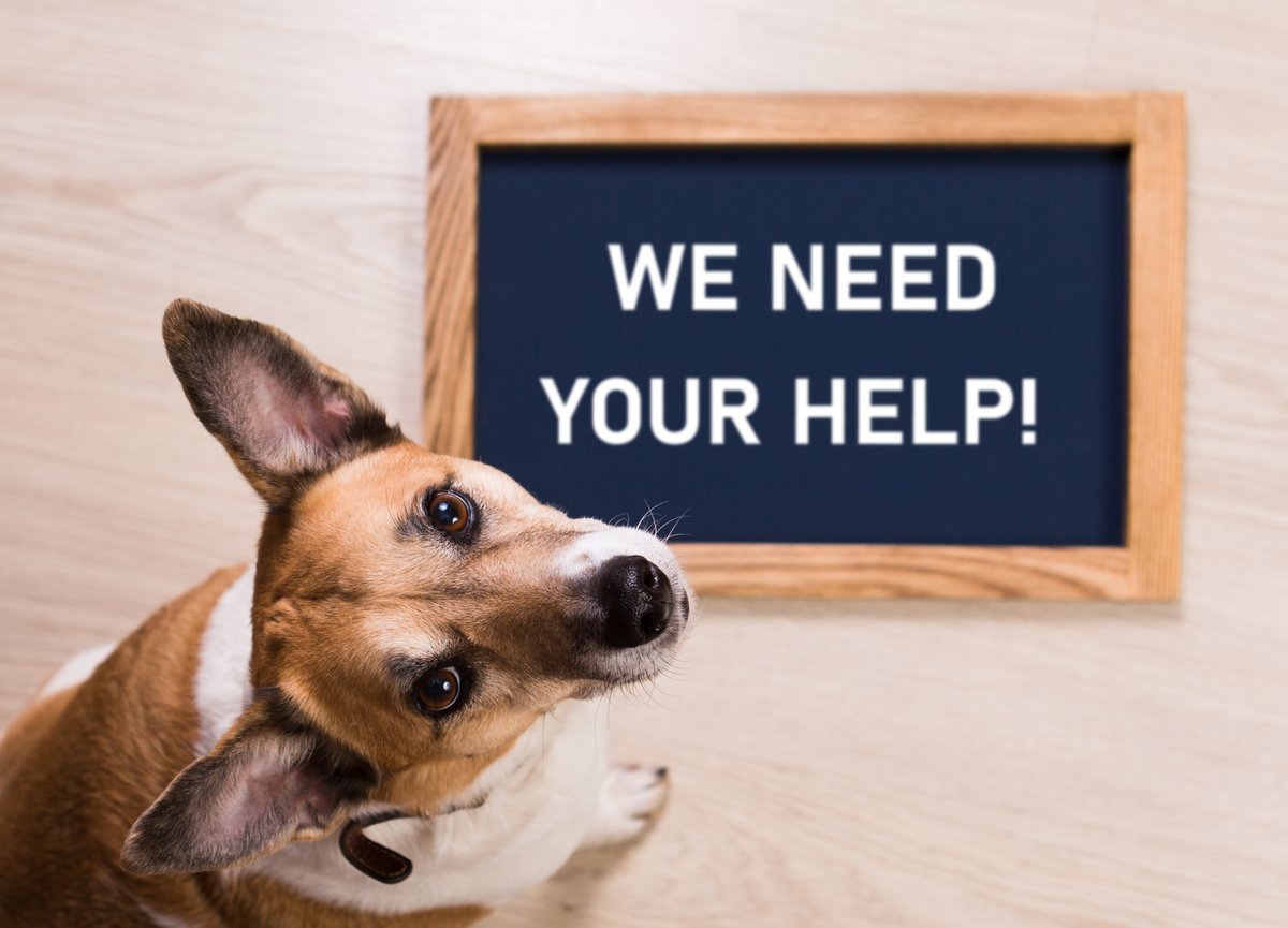 PPI_Research's tweet photo. The Lost Pension Survey will be closing shortly. If you have not yet taken part there is still time. 

💥Help us to better understand the scale and impact of the lost pensions challenge in the UK. 💥

➡️➡️https://t.co/NDoAYUhkuK ⬅️⬅️ 
@Pensionsattn 
#PensionsAttention https://t.co/5GTt4kWWsr