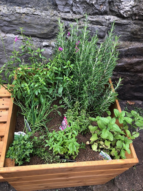 Today our wonderful students @heritageNPM got in touch with nature to create this little green haven for themselves, the bees and the butterflies! Experience &amp; enrichment! Many thanks to <a href="/CityofDublinETB/">City of Dublin ETB</a>  Reach Fund which gave the grant for green projects.