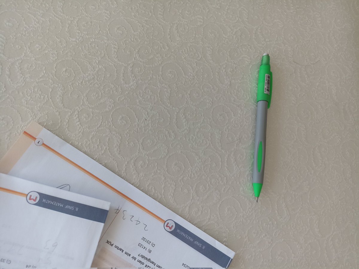 Erkek kardeşim özel derse girerken ne yedek kalem alıyor ne de silgi sek erkek ya