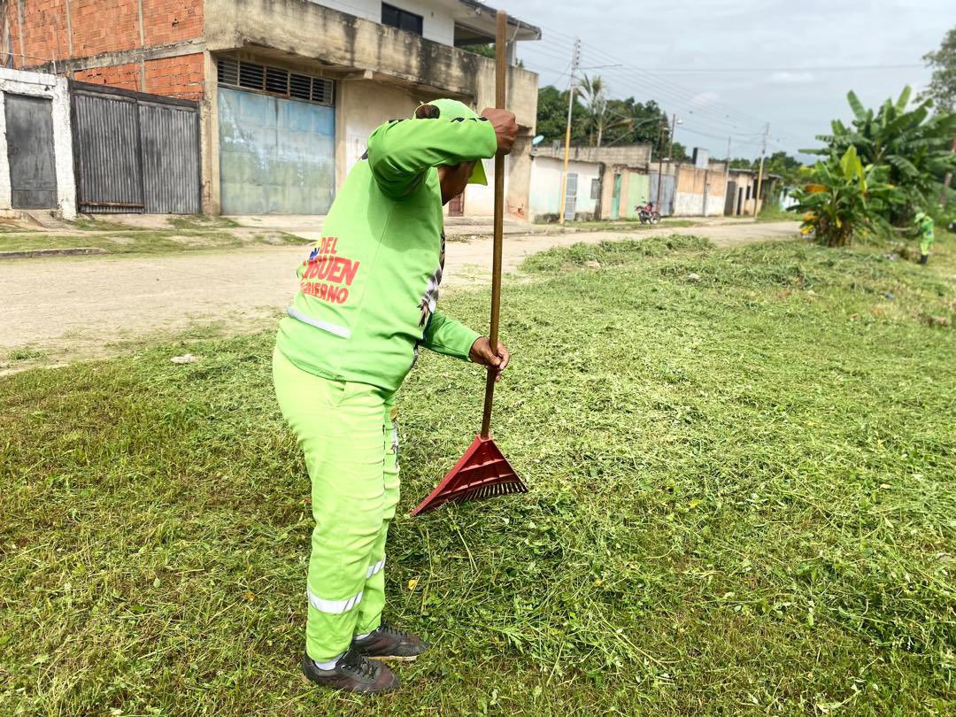 Activos en la calle Santa Eduvigues en Parcelas del Socorro, parroquia Miguel Peña, con trabajos de barrido profundo, desmalezado y recolección de desechos vegetales, en canal de agua fluvial.

<a href="/NicolasMaduro/">Nicolás Maduro</a> 
<a href="/delcyrodriguezv/">Delcy Rodríguez</a> 
<a href="/JosueLorcaV/">Josué Lorca Vega</a> 
<a href="/rafaellacava10/">Rafael Lacava</a> 
<a href="/JFuenmayor_PSUV/">Julio Fuenmayor</a>