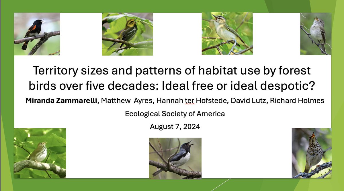 ESA_ltss's tweet photo. Next, we have research by Miranda Zammarelli @MZammbirds titled "Territory sizes and patterns of habitat use by forest birds over five decades: ideal free or ideal despotic?" being presented on Aug 7 at 10:15 am in room 102a. Don't miss it! https://t.co/NQLyL8yC8T