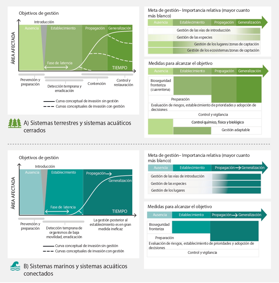 📉¡Las especies exóticas invasoras amenazan la #biodiversidad global!

✅Más información sobre la gestión de su propagación en sistemas terrestres, de aguas cerradas, marinos y de aguas conectadas.

ipbes.net/ias
