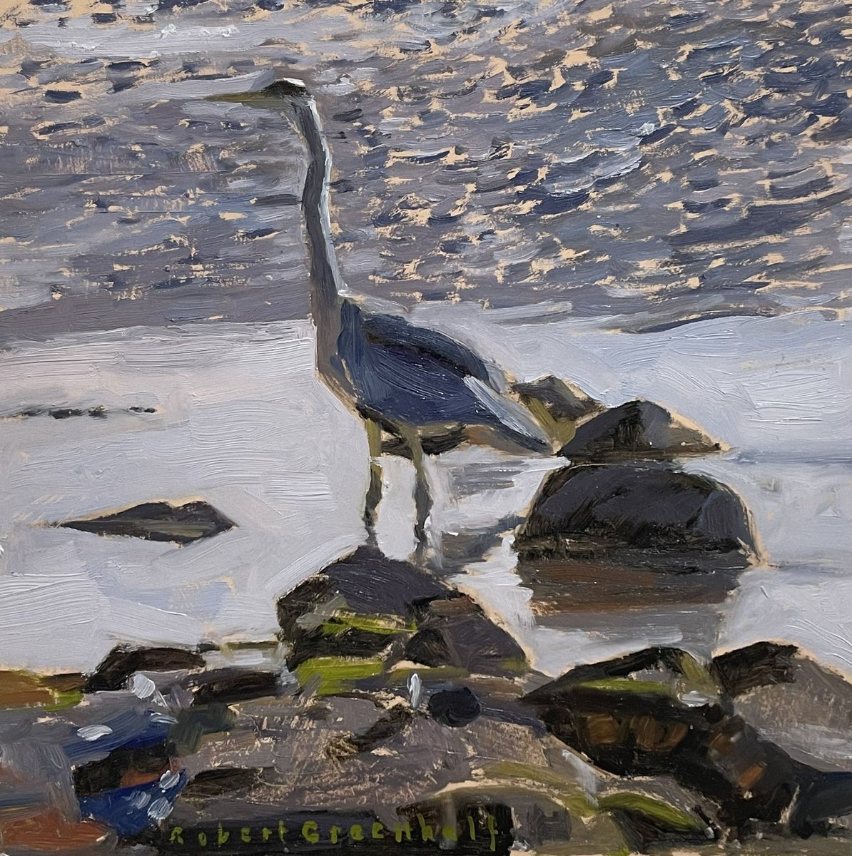 ryeartists's tweet photo. A beautiful selection bird paintings in oil hang in our upper gallery in our Summer Exhibition. These are by RSA member Robert Greenhalf. From Moorhens to Herons, Terns to Cormorants.
#ryeartists #robertgreenhalf #birdpainting https://t.co/2hwyqzPfSl