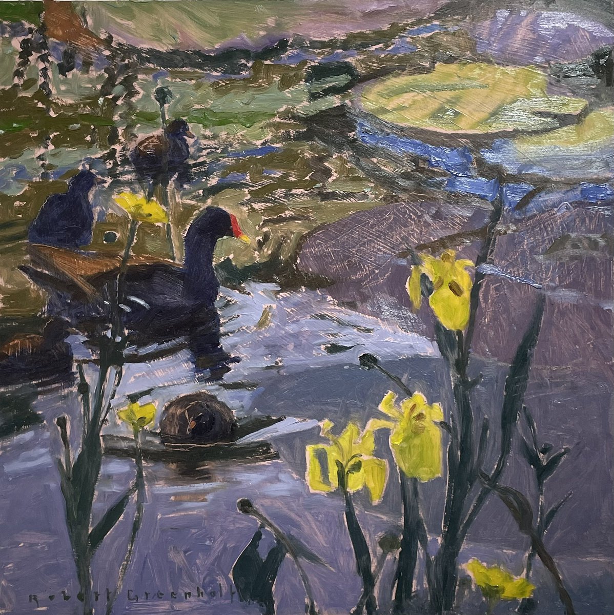 ryeartists's tweet photo. A beautiful selection bird paintings in oil hang in our upper gallery in our Summer Exhibition. These are by RSA member Robert Greenhalf. From Moorhens to Herons, Terns to Cormorants.
#ryeartists #robertgreenhalf #birdpainting https://t.co/2hwyqzPfSl